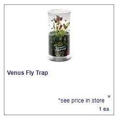 Venus fly trap