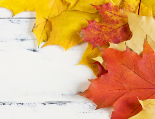 The Latest Aldi Finds Sneak Peek is Here!