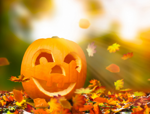 Aldi Finds Sneak Peek for the Week of October 3!