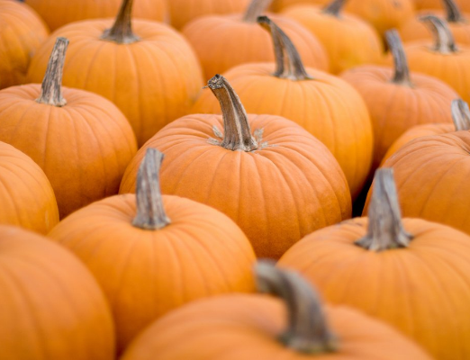 Aldi Sales Flyer for the Week of October 3 and More...