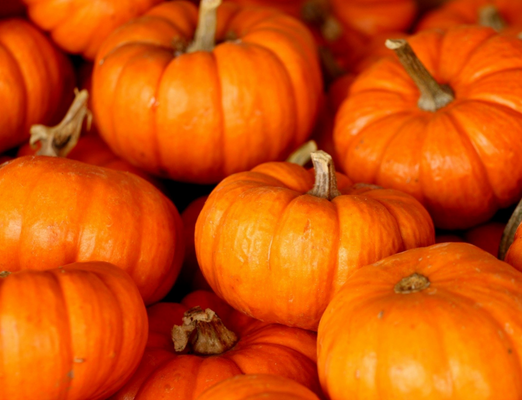 Aldi Finds for the Week of October 2