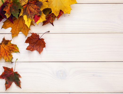 Aldi Finds for the Week of August 20!