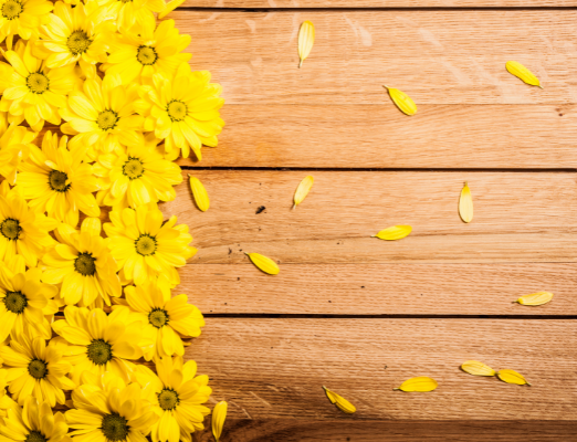 Check It Out: Aldi Sneak Peek for the Week of March 20!