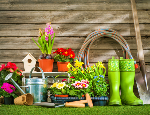 Image of garden supplies and tools
